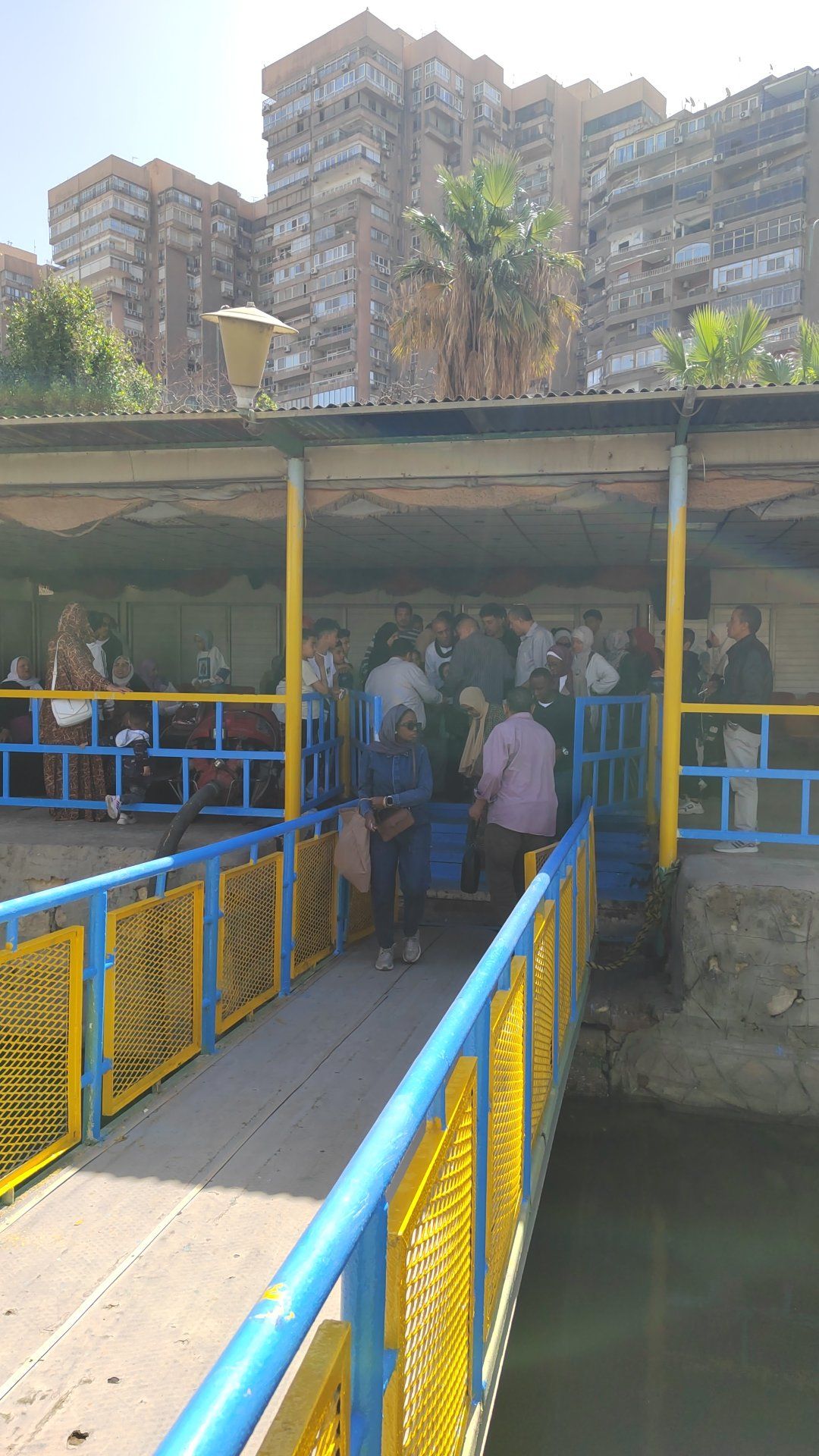 الأتوبيس النهرى يخفض أسعار رحلة القناطر الخيرية.. ذهاب وعودة بـ70 جنيه.. فيديو