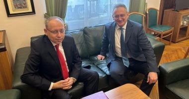 السفير المصرى يلتقى مدير إدارة الشرق الأوسط وشمال أفريقيا بالخارجية الروسية