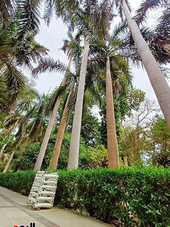 مصريون وأجانب.. تكدس جماهيرى داخل الحديقة النباتية النادرة بأسوان.. صور