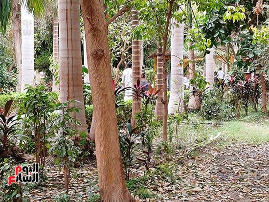 مصريون وأجانب.. تكدس جماهيرى داخل الحديقة النباتية النادرة بأسوان.. صور
