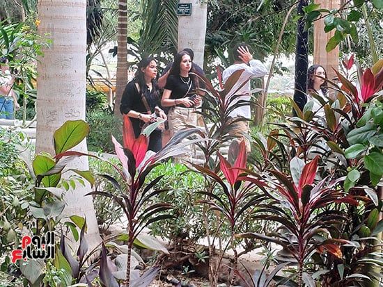 مصريون وأجانب.. تكدس جماهيرى داخل الحديقة النباتية النادرة بأسوان.. صور
