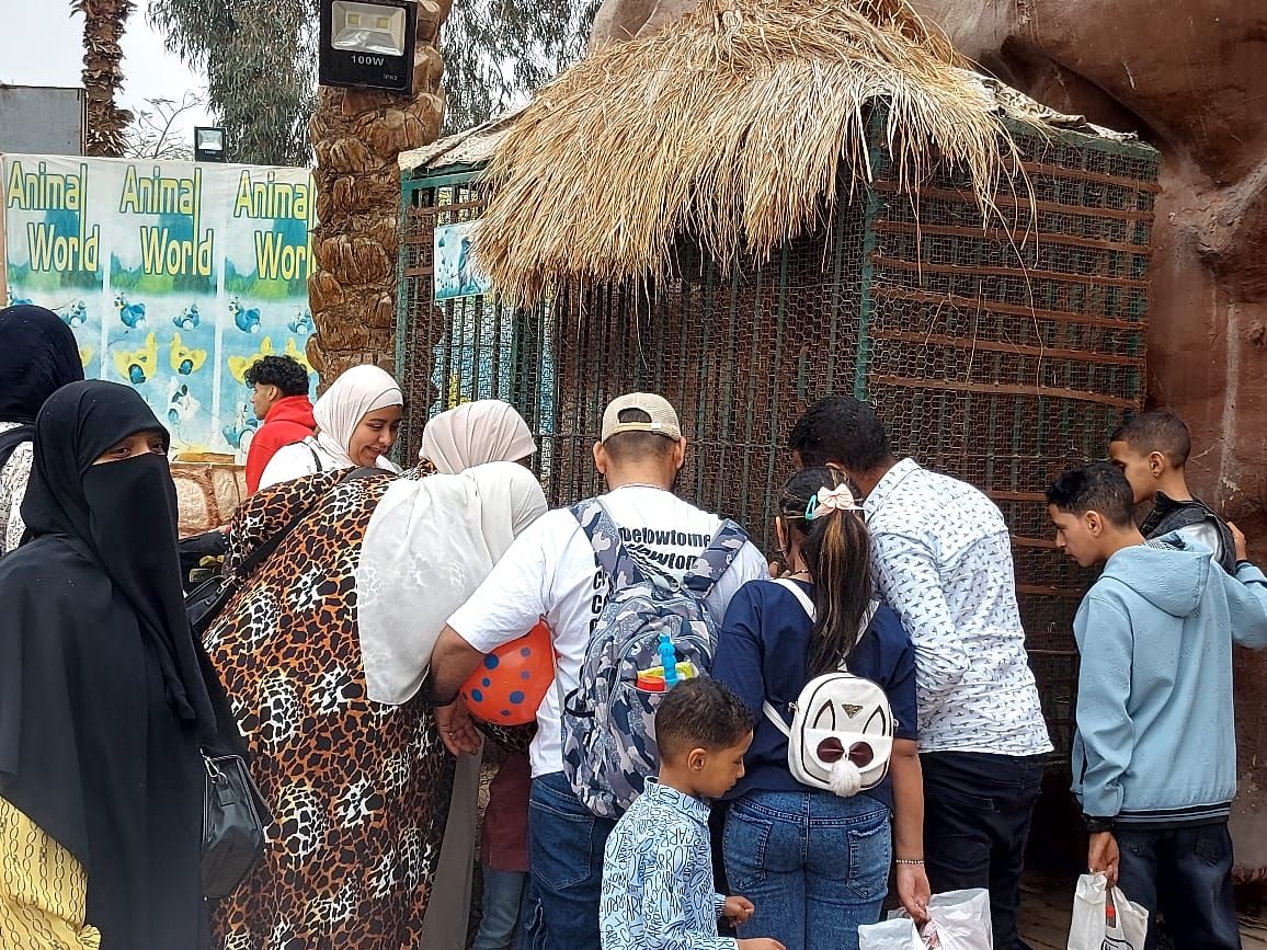 إقبال واسع على حديقة الحيوان بالحديقة الدولية فى ثانى أيام عيد الفطر.. صور