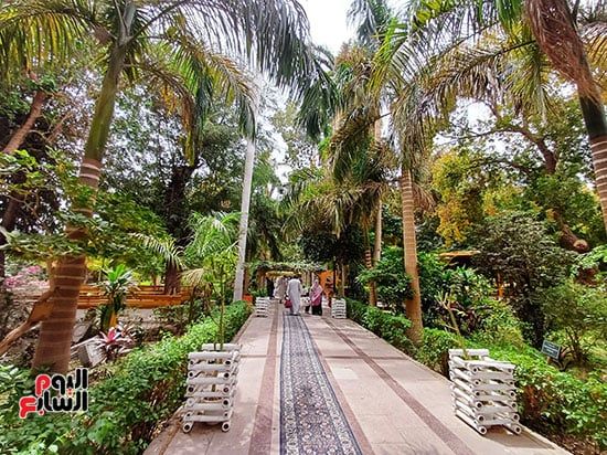 مصريون وأجانب.. تكدس جماهيرى داخل الحديقة النباتية النادرة بأسوان.. صور