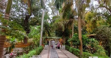 مصريون وأجانب.. تكدس جماهيرى داخل الحديقة النباتية النادرة بأسوان.. صور