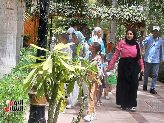 مصريون وأجانب.. تكدس جماهيرى داخل الحديقة النباتية النادرة بأسوان.. صور