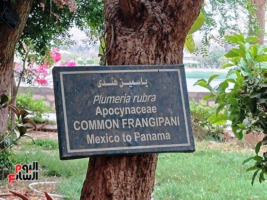 مصريون وأجانب.. تكدس جماهيرى داخل الحديقة النباتية النادرة بأسوان.. صور