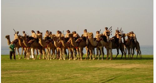شاهد..عرضة الخيل أحد أبرز مظاهر الاحتفال بالعيد فى عُمان