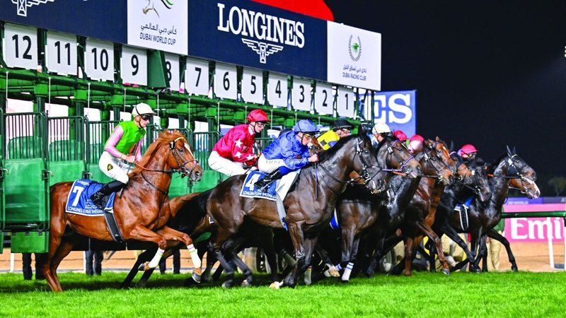 الامارات | راشد بن دلموك: سلامة الخيول والفرسان والحضور على رأس أولوياتنا