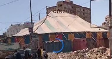 بتـر ذراعه لصعوبة علاجه..تفاصيل جديدة فى هجوم أسد على عامل بسيرك طنطا "فيديو"