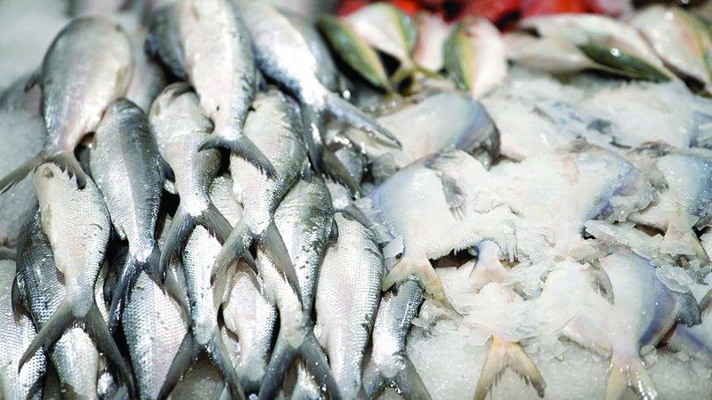 الامارات | «الصال» و«الكنعد» الأكثر طلباً في رمضان بالفجيرة