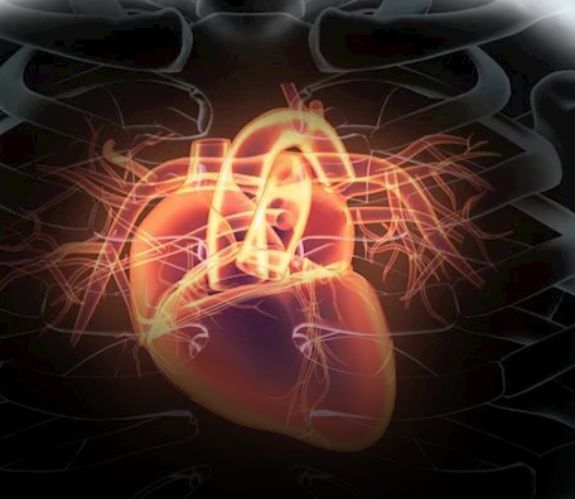 احذر- 10 علامات خفية لأمراض القلب