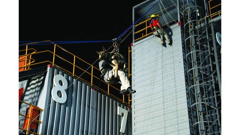 الامارات | وحدة في دورة «الإنزال بالحبال لوحدات الكلاب البوليسية K9»14