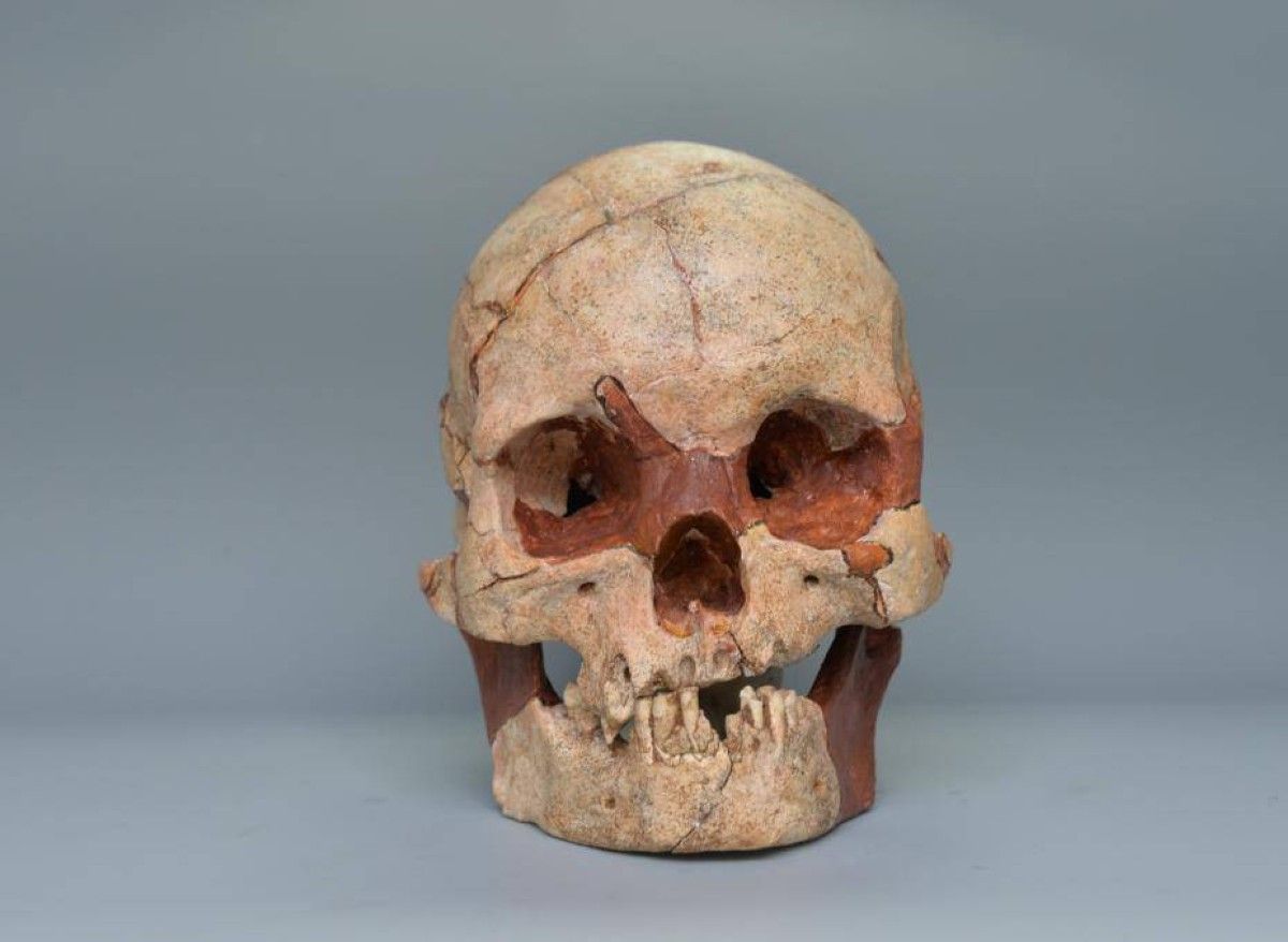 علماء يعيدون بناء وجه إنسان عاش في الصين قبل 16 ألف سنة