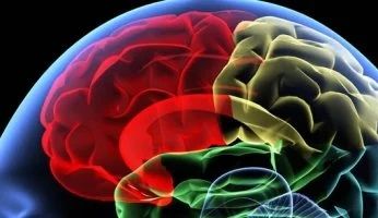 علامات لا تتجاهلها.. تدل على تلف الدماغ والأعصاب