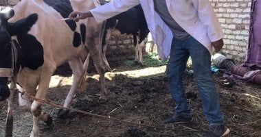 انطلاق الحملة القومية للتحصين ضد الحمى القلاعية والوادى المتصدع فى الجيزة