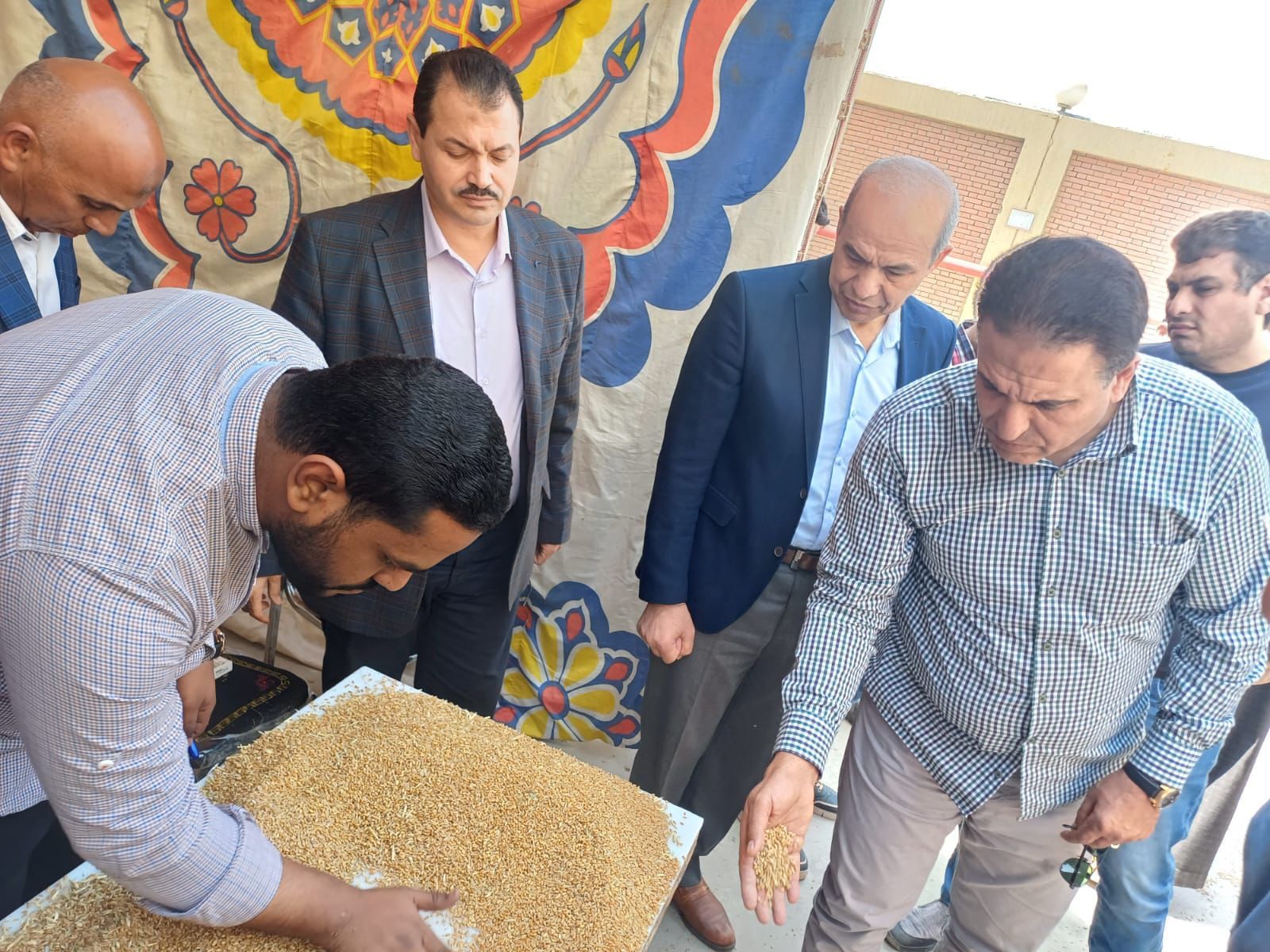 وزير التموين يعلن بدء توريد القمح المحلى من الفيوم