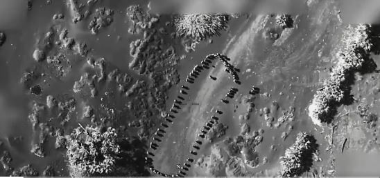 إعلام حوثي بعد نشر ترامب فيديو لقصف تجمع فى اليمن: عزل يحتفلوا بعيد الفطر