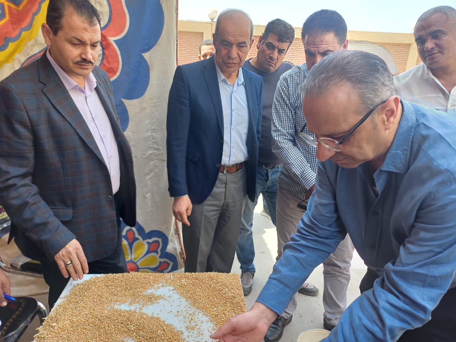 وزير التموين يعلن بدء توريد القمح المحلى من الفيوم