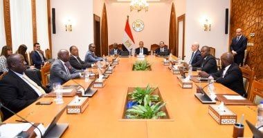 وزير الخارجية يستقبل أعضاء اللجنة التنفيذية للرابطة الإفريقية فى مصر