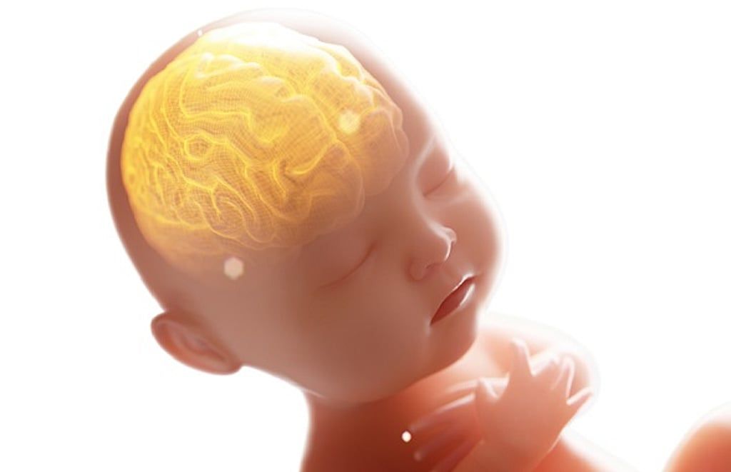 من مزيلات العرق والعطور إلى أغلفة الطعام.. دراسة أمريكية : خطر خفي في منازلنا "يهدد" دماغ الجنين