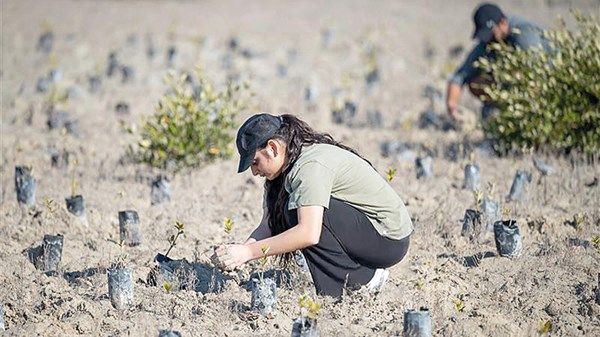 «بيئة أبوظبي» و«الإمارات للطبيعة» تكشفان الاستراتيجية الخمسية لعلم المواطنة