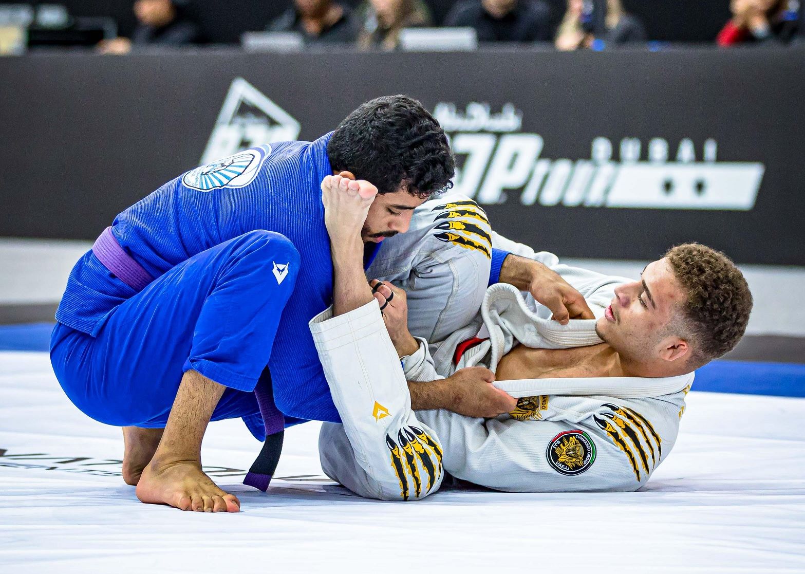 الامارات | الإمارات تتصدر بطولة دبي الدولية لرابطة أبوظبي لمحترفي الجوجيتسو