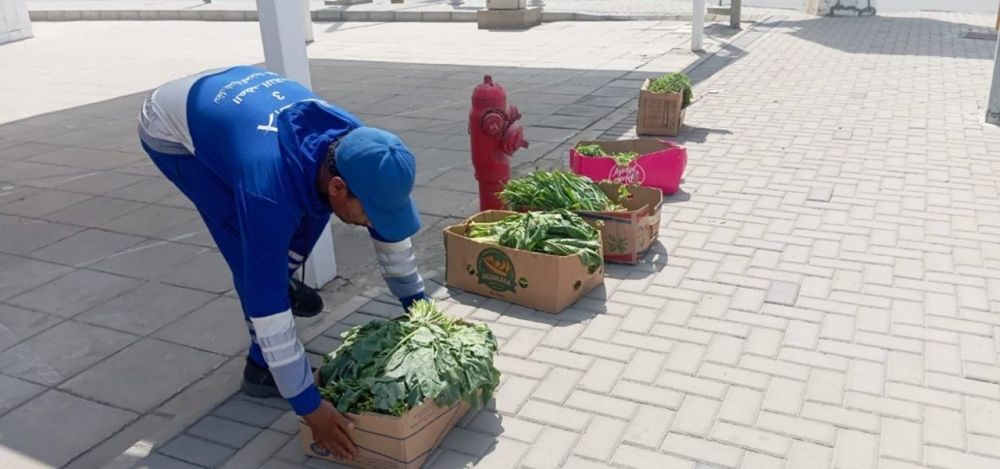 جدة.. مصادرة 4,3 أطنان خضروات وفواكه من باعة مخالفين بالعزيزية