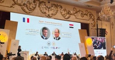 الرئيس السيسي للمستثمرين الفرنسيين: مصر "فرصة" ومناخ الأعمال بها مهيأ