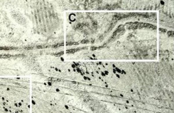 الامارات | العراق: العثور على شبكة متطورة لمياه الريّ عمرها 2600 سنة