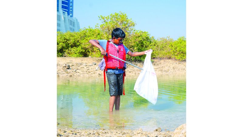 الامارات | «بيئة أبوظبي» و«الإمارات للطبيعة» تطلقان الاستراتيجية الجديدة لعلم المواطنة
