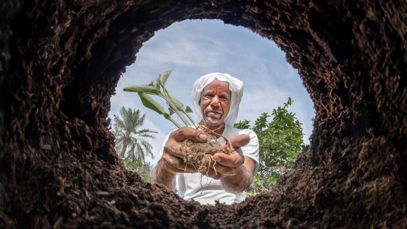 الامارات | زووم.. على العالم