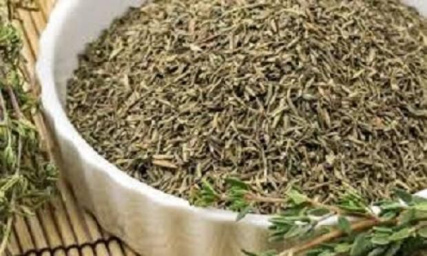 مكافحة حساسية الربيع.. كيف تساعد التغذية في تحسين صحة الجهاز التنفسي؟