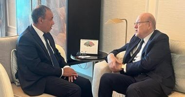 وزير الخارجية والهجرة يستقبل رئيس وزراء لبنان السابق فى أبو ظبى