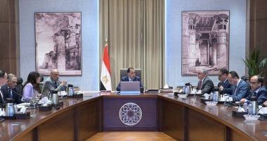 رئيس الوزراء يتابع موقف مشروعات إنتاج الهيدروجين الأخضر