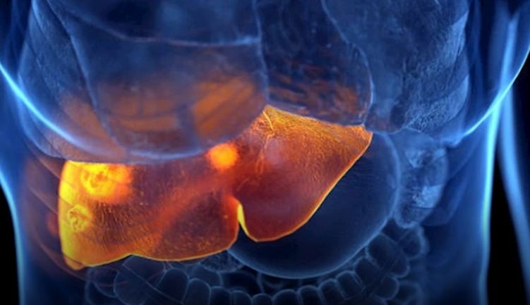 طبيب مصري يوصي بفحص دوري لمرضى تليف الكبد للكشف عن دوالي المريء