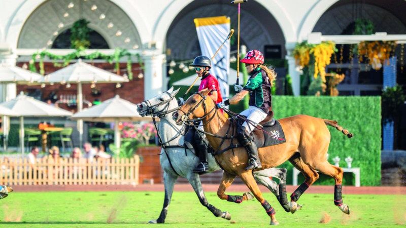 الامارات | موسم البولو يختتم بـ «الماسترز»