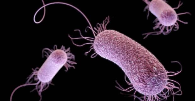 مرض نادر يتسبب في وفاة 26 شخصا.. ما هو المليودوسيس وأعراضه؟