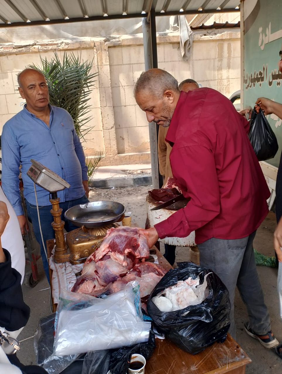 وزارة الزراعة: توفير السلع بأسعار مخفضة تزامنا مع احتفالات عيد القيامة المجيد