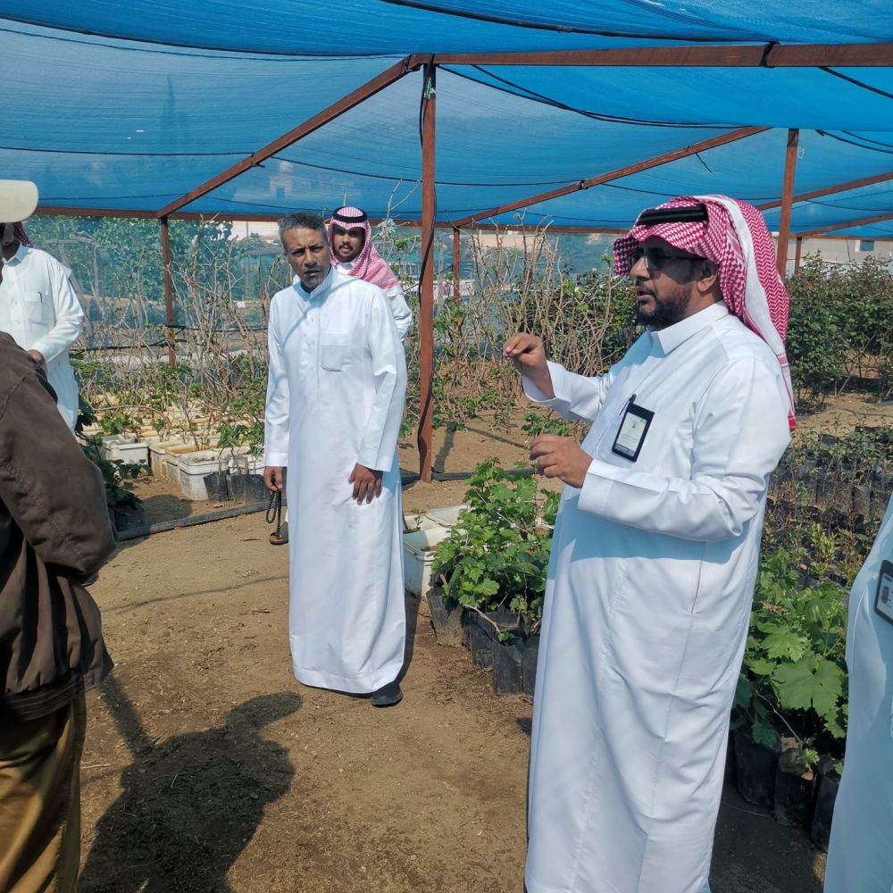"البيئة والزراعة" تستهدف رفع كفاءة مزارعي ومشاتل الفاكهة بالطائف