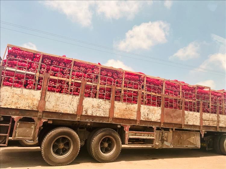 بشرى سارة ...المملكة العربية السعودية تسعد اليمنيين بهذا القرار