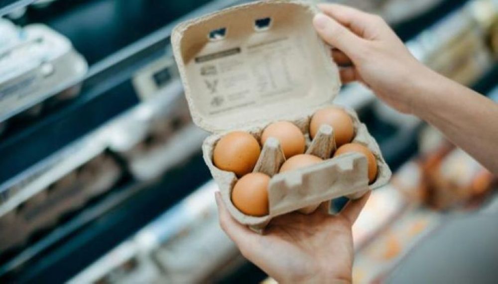 رغم توقعات الانخفاض.. ارتفاع أسعار البيض في أمريكا إلى مستوى قياسي