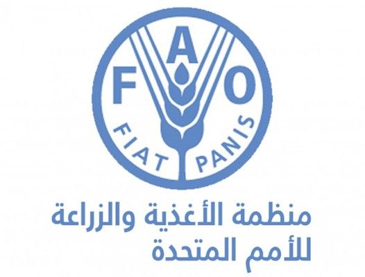 "الفاو": خسائر وأضرار بـ700 مليون دولار في قطاع الزراعة اللبناني خلال الحرب