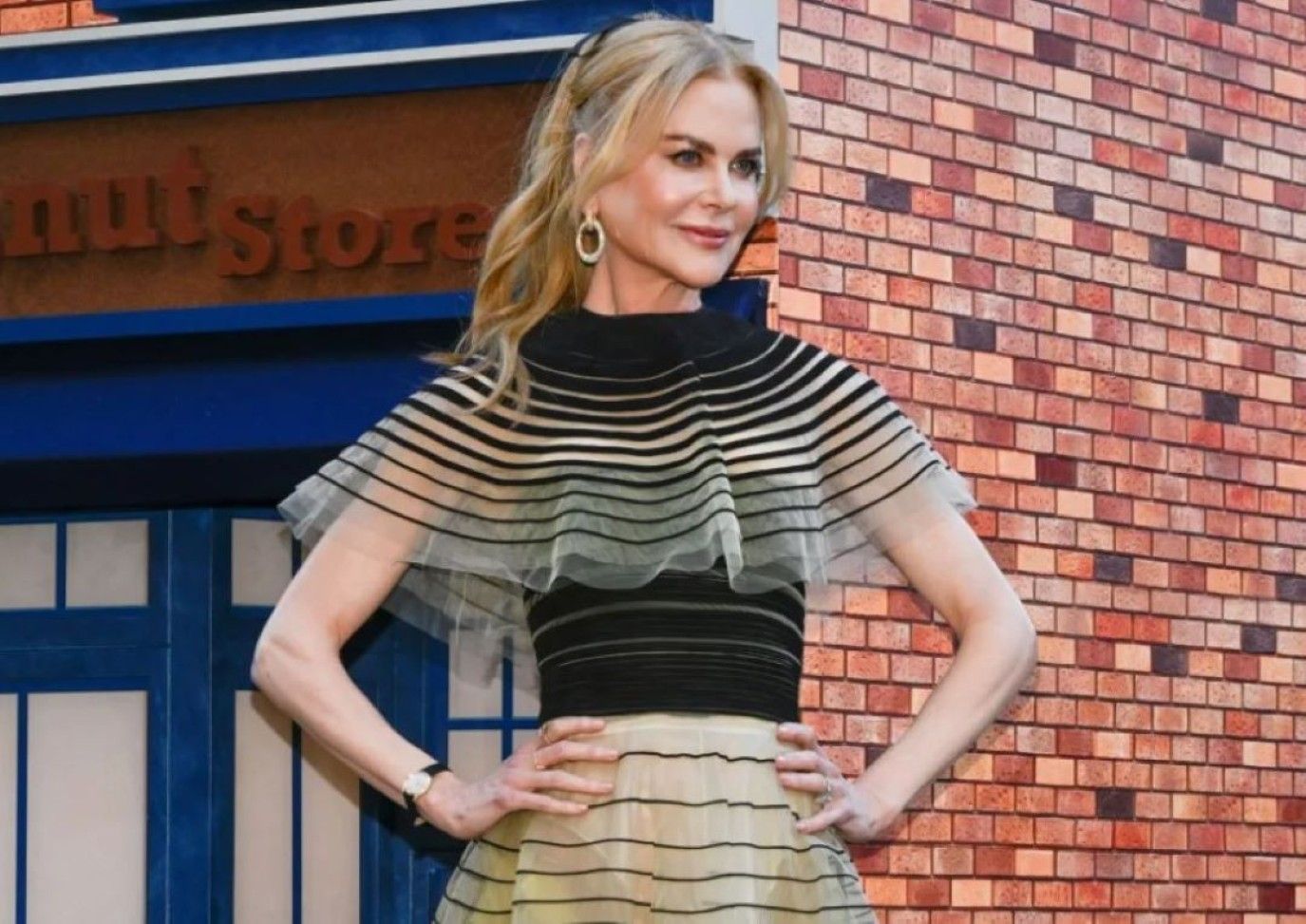 فيلم Holland .. فكرة جيدة أفسدها الكثير من الإطالة والغموض