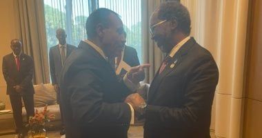 وزير الخارجية يؤكد للرئيس الصومالى دعم مصر لوحدة واستقرار بلاده