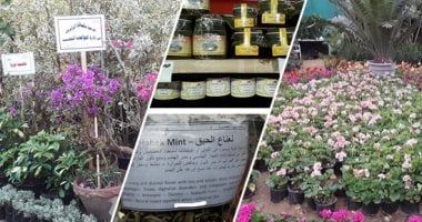 الزراعة: افتتاح معرض زهور الربيع منتصف الاسبوع المقبل