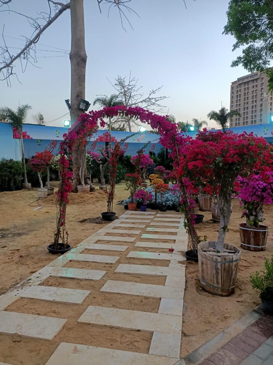 شاهد معرض زهور الربيع قبل افتتاحه الأسبوع الحالى.. صور