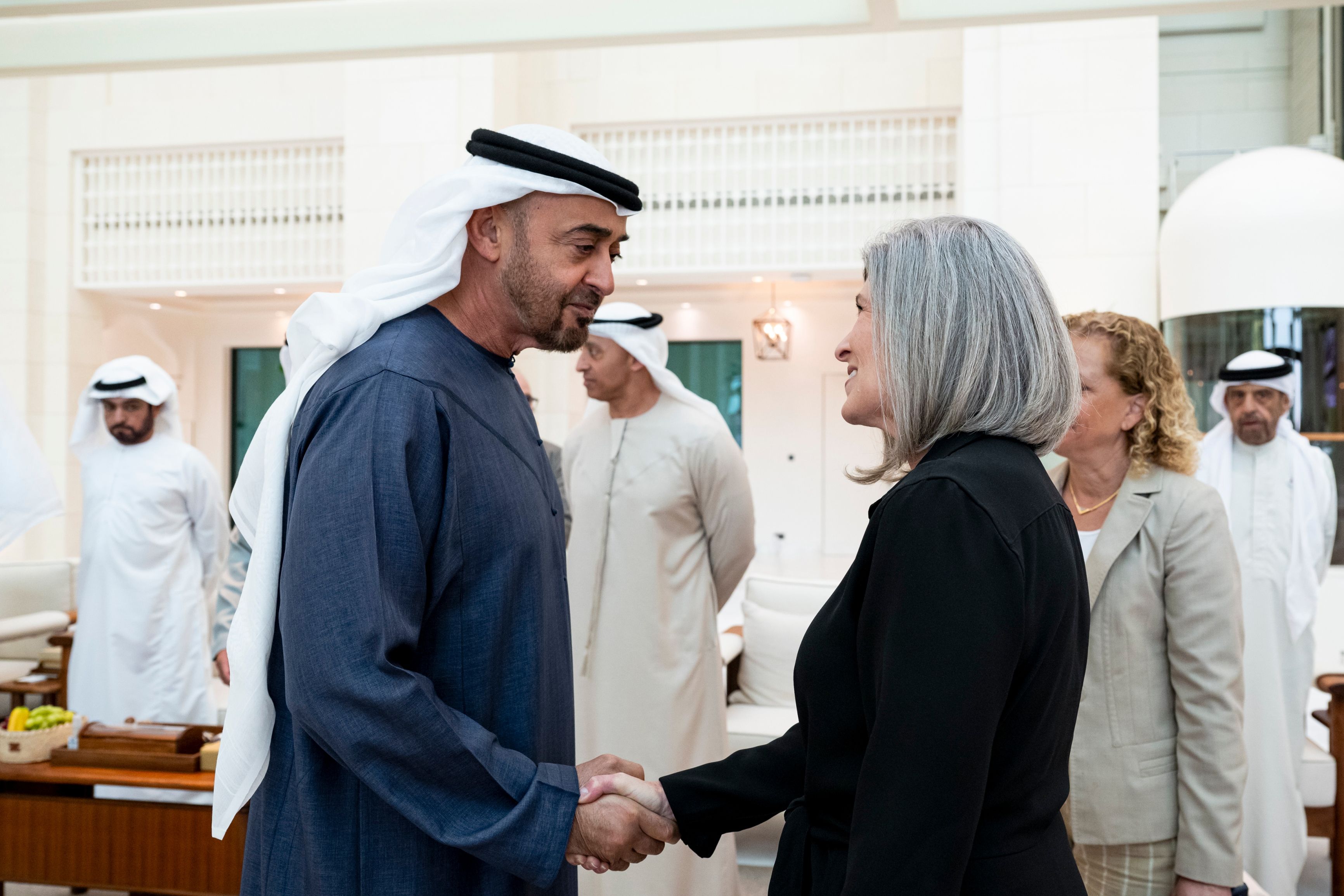 الامارات | رئيس الدولة يستقبل وفداً من الكونجرس الأميركي