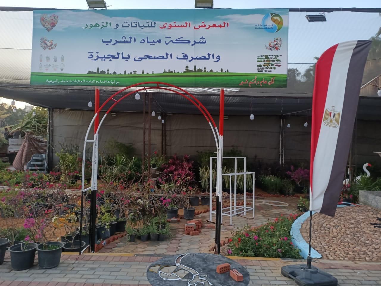 شاهد معرض زهور الربيع قبل افتتاحه الأسبوع الحالى.. صور