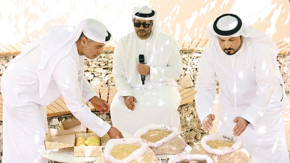 مزارع العين.. رمز العطاء والاستدامة في الإمارات