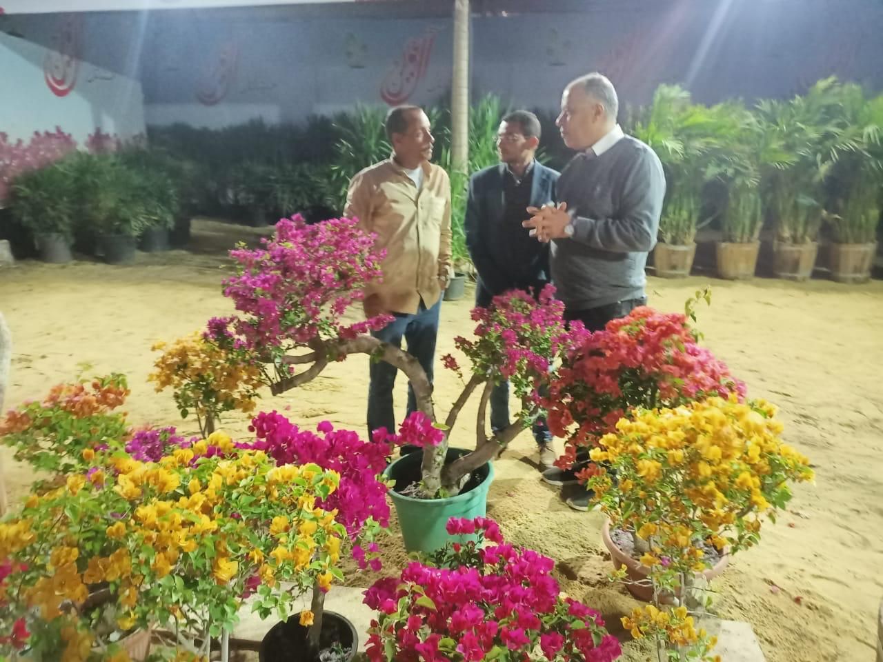 شاهد معرض زهور الربيع قبل افتتاحه الأسبوع الحالى.. صور